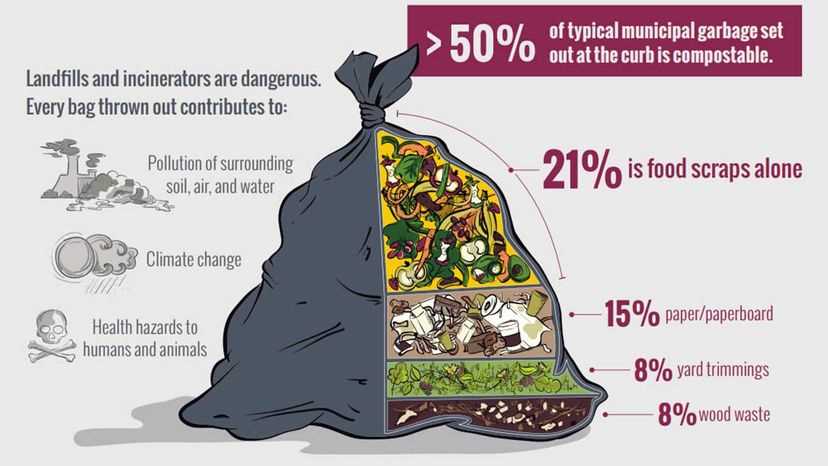 4. Managing pests and odor