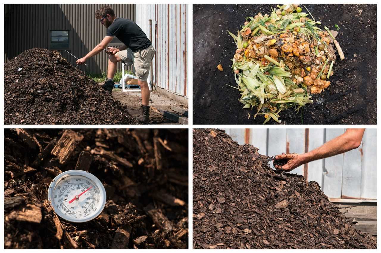 Benefits of composting