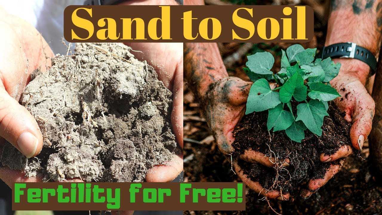 Benefits of Composting for Sandy Soil