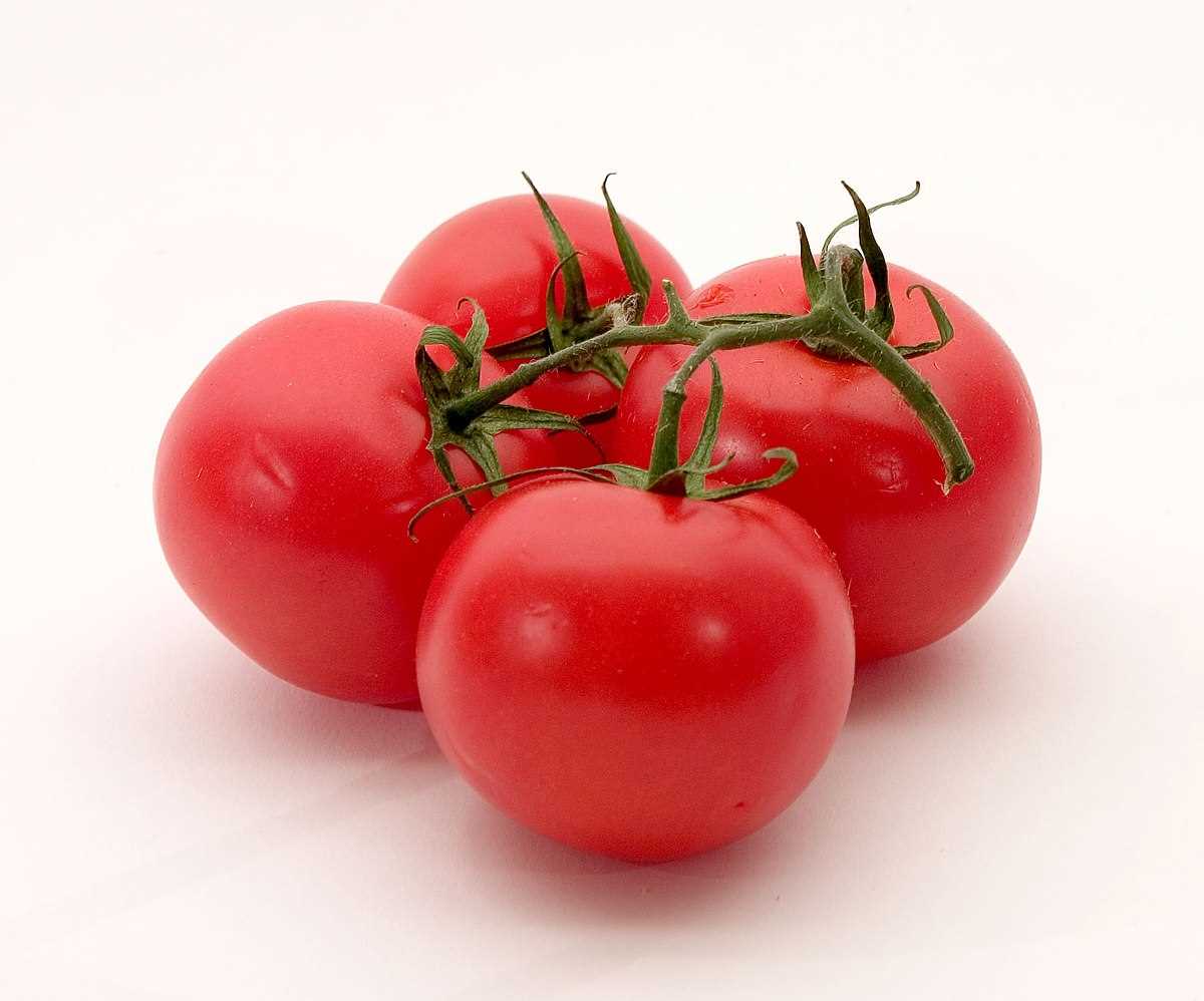 Choosing the Right Fertilizer for Sweet and Large Tomatoes