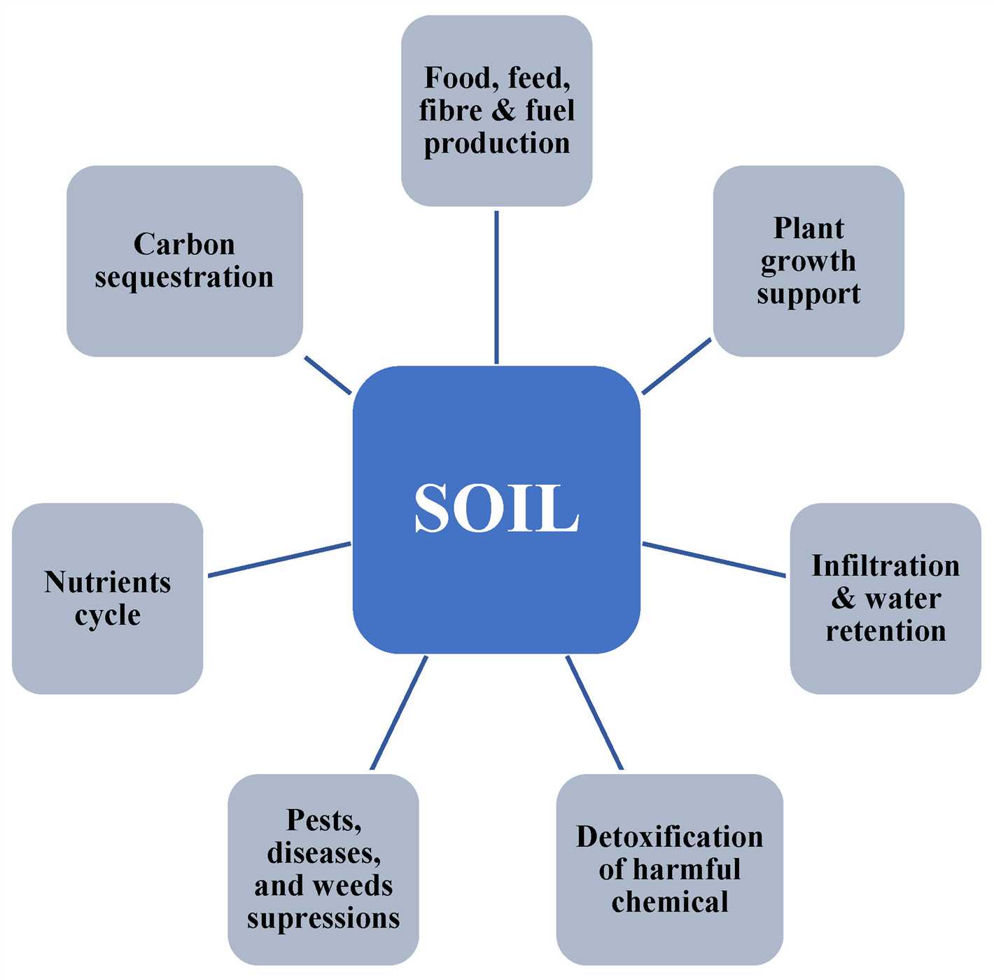 Creating an Optimal pH Environment: Balancing Soil Acidity or Alkalinity