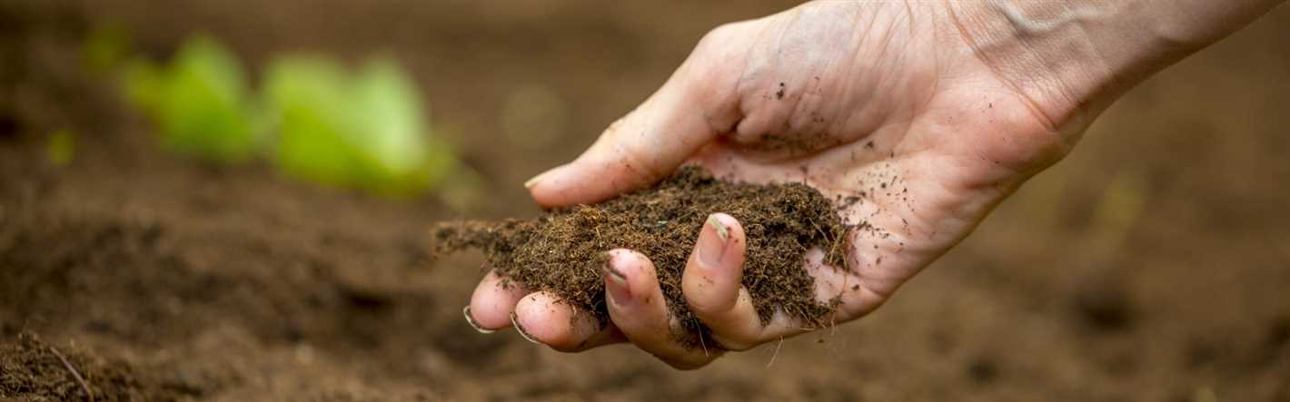 How to Prepare Your Soil for a Successful Harvest: Essential Techniques and Tips