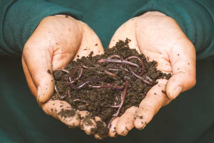 4. Trench Composting