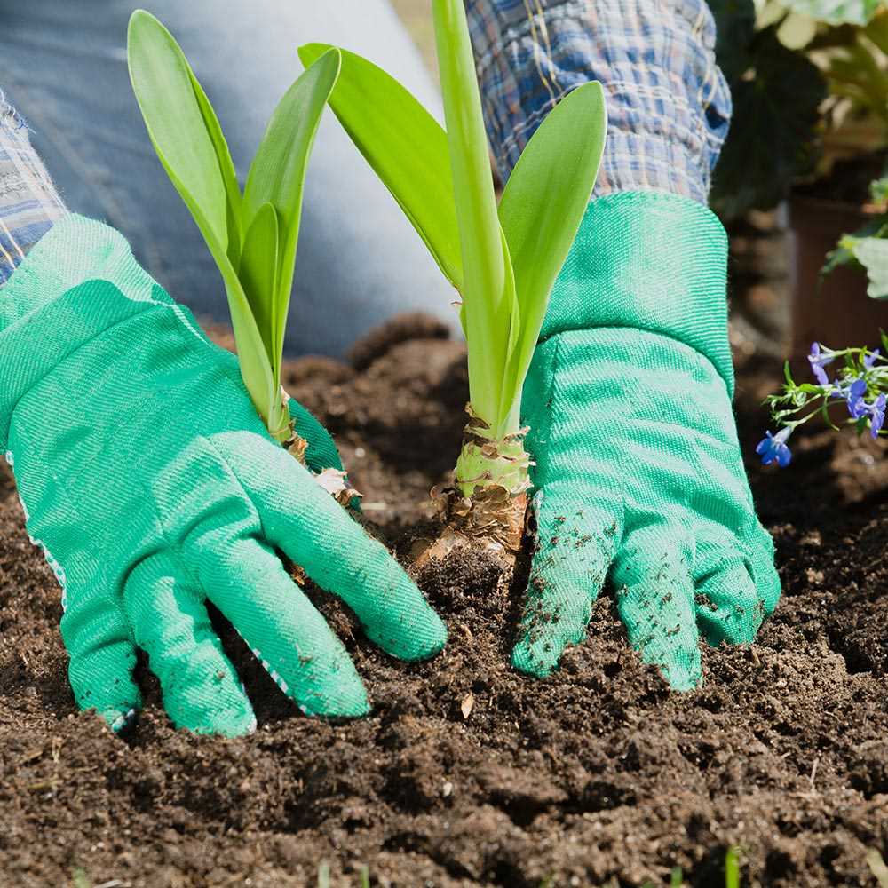 How to Refresh and Replace Worn-Out Garden Soil