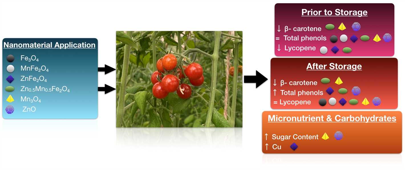 Methods of Boron Application