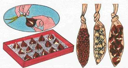 9. Checking on the Bulbs Periodically