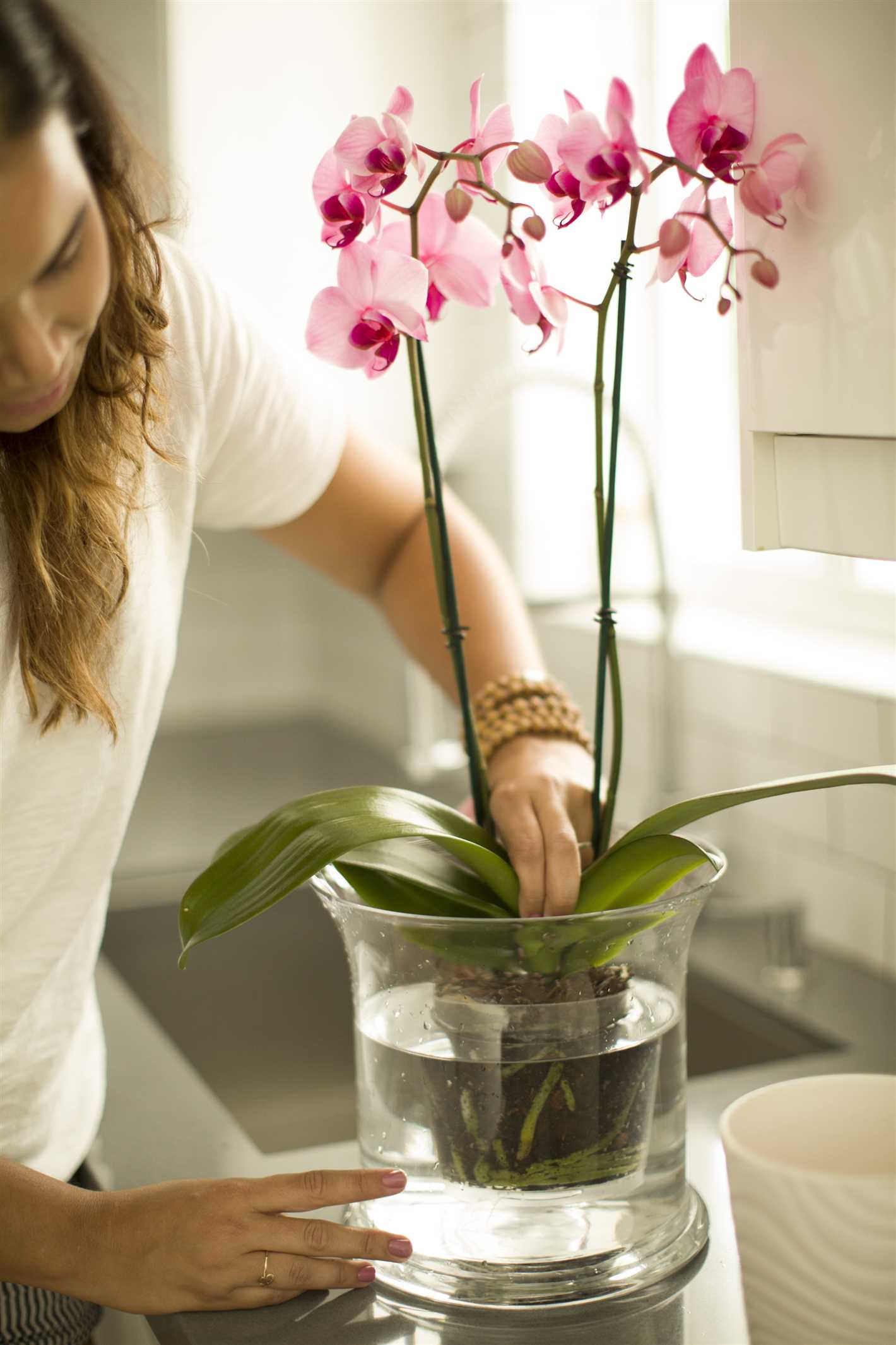 Choosing the right watering method for orchids