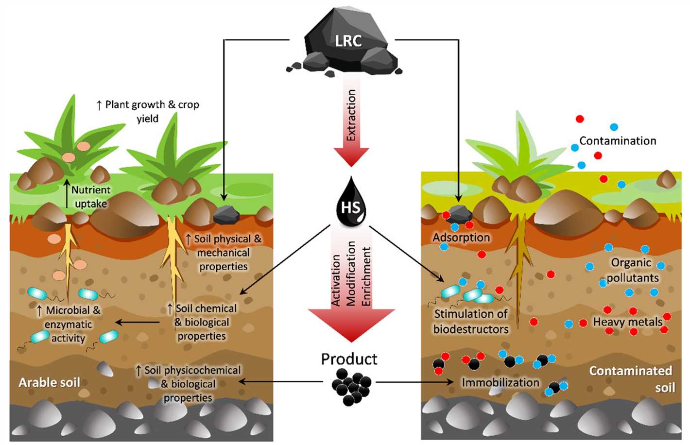 How Do Humates Help Balance pH Levels?