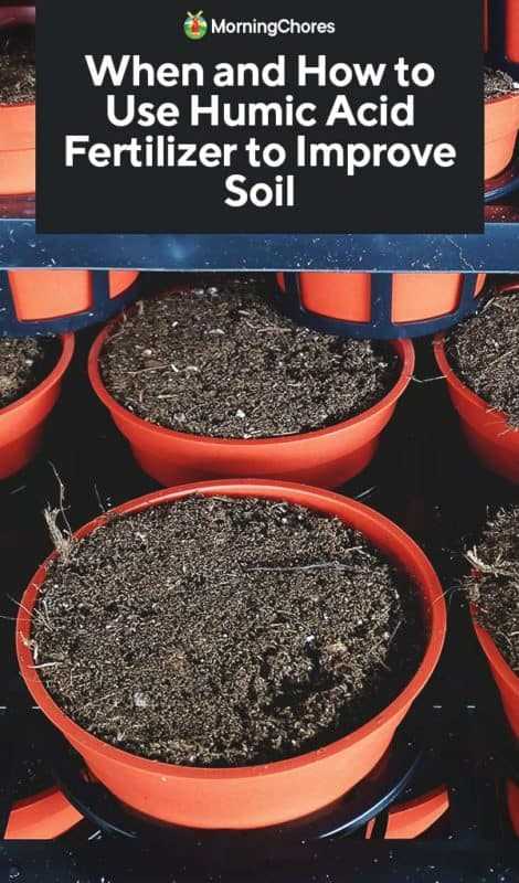 6. Seedling Transplant Solution