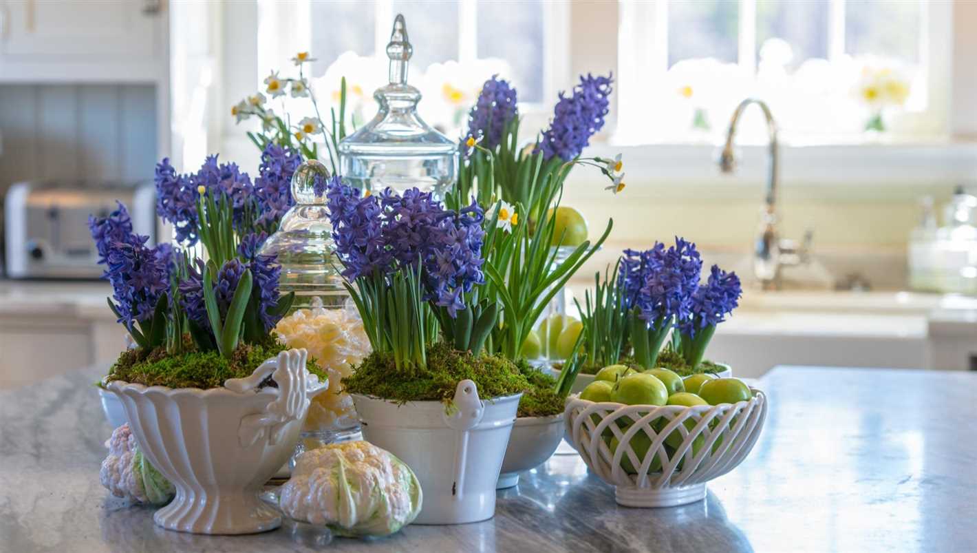 Harvesting and Using Hyacinth Flowers