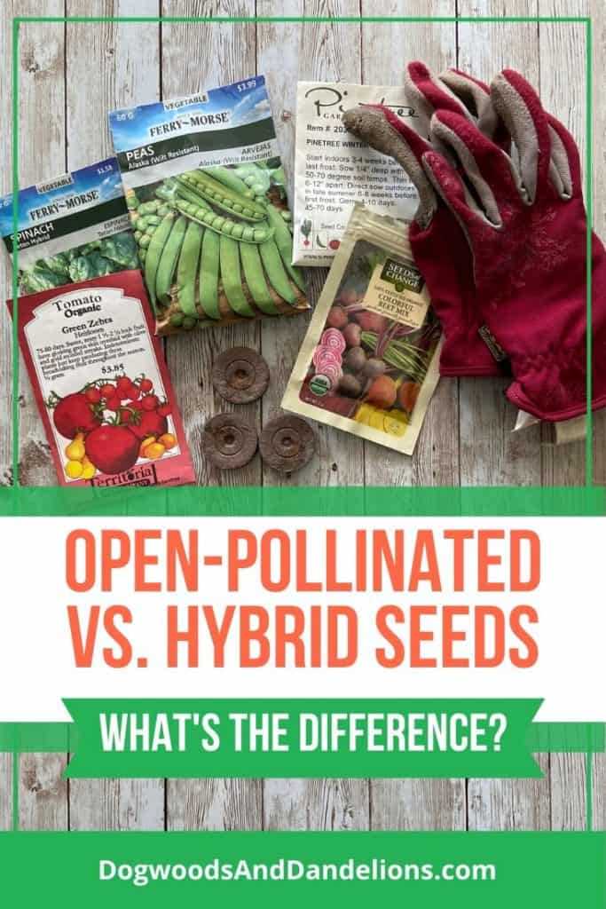 Hybrids vs. Varieties – Which is Right for You?