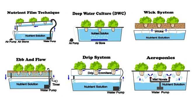 hydroponics method edypyfnb