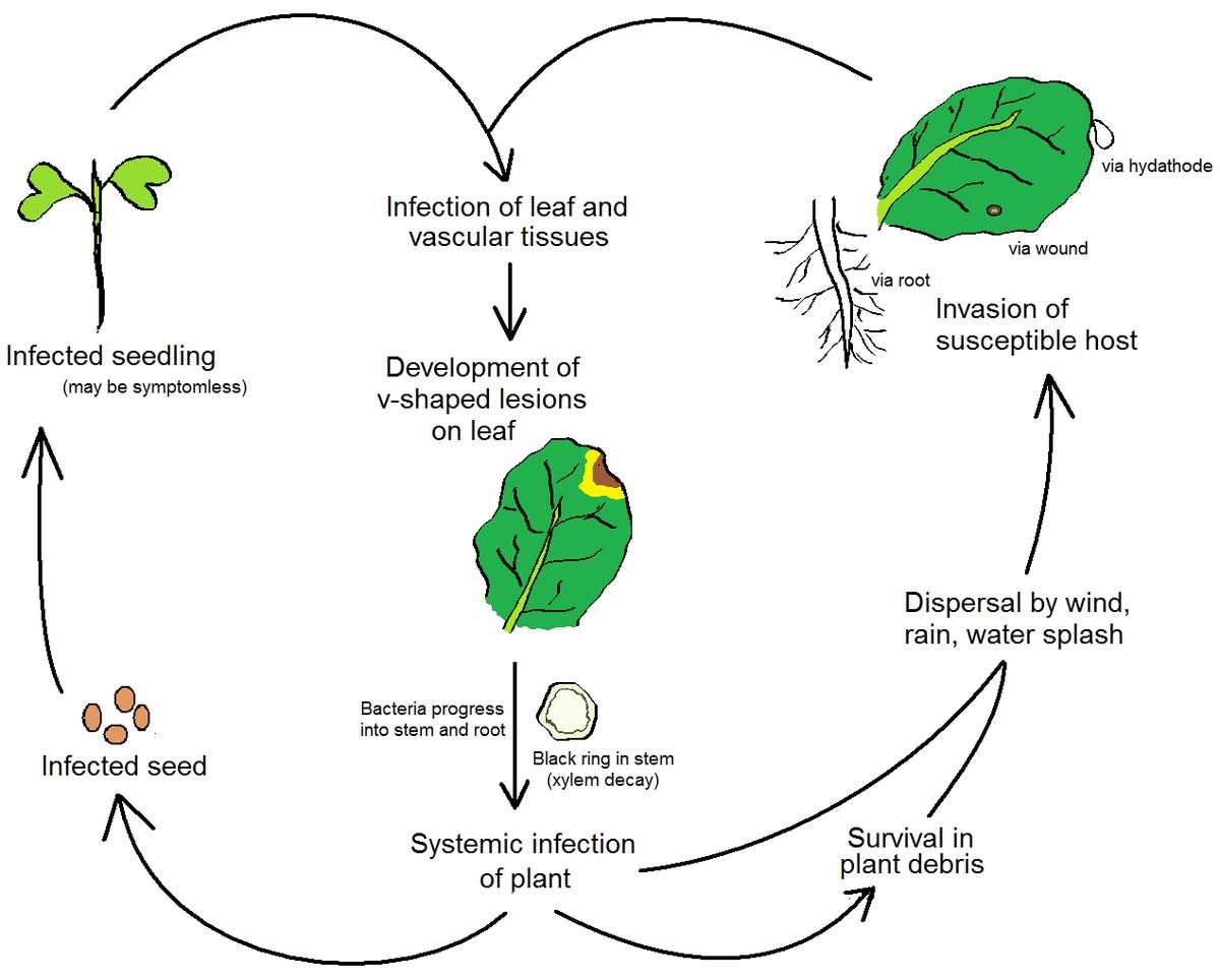 3. Plant Resistance