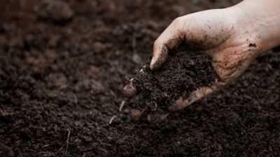 Organic Matter: The Key to Soil Health