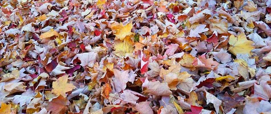 Leaf Table Runner