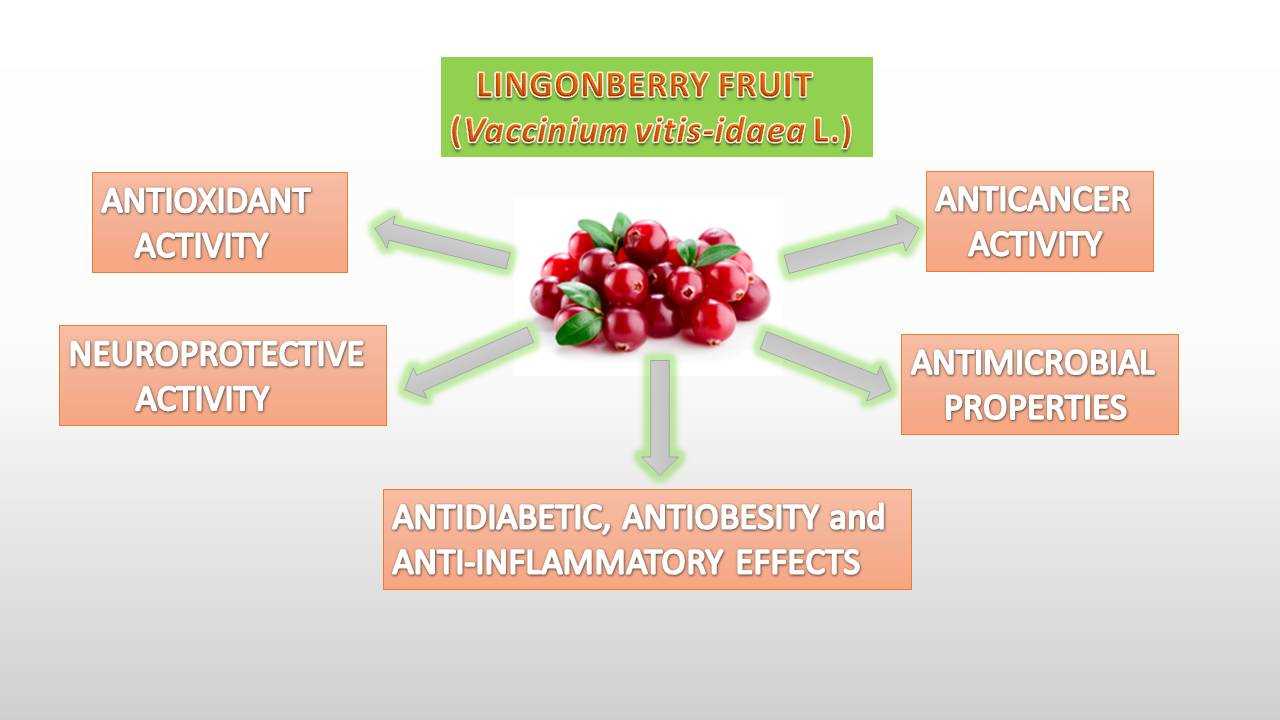 2. Vaccinium uliginosum