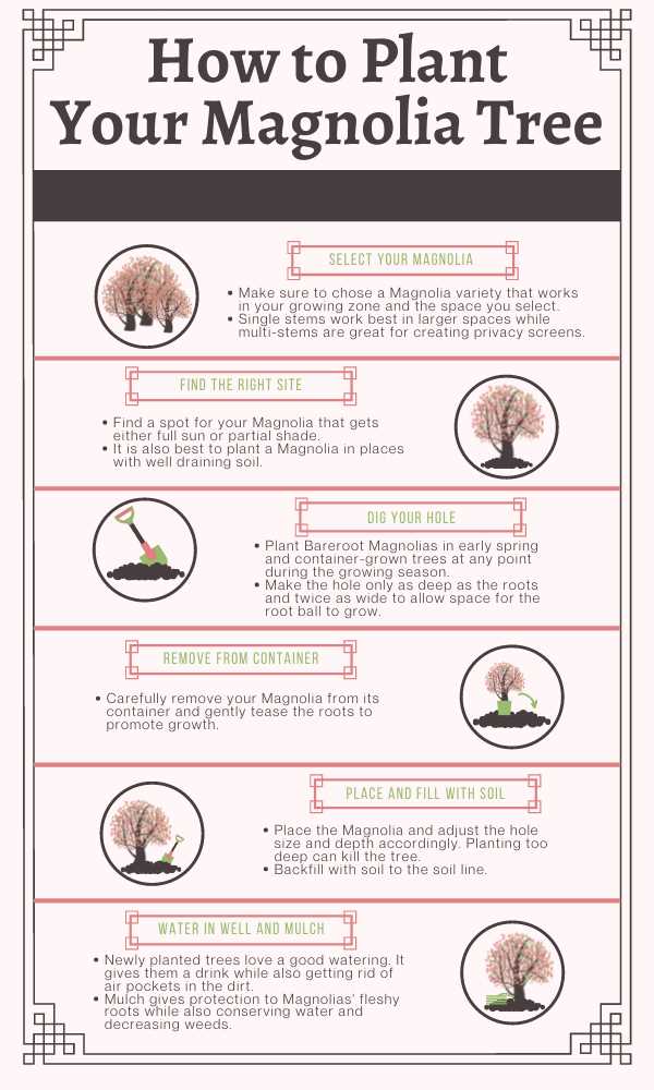 Benefits of using organic compost