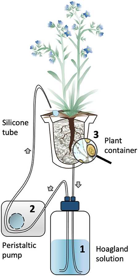 How to Use Perlite