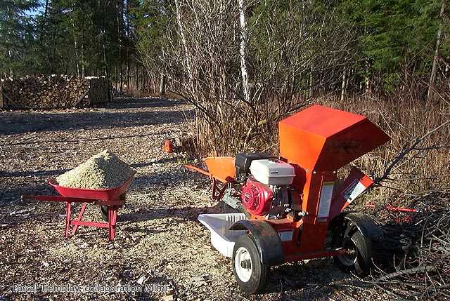 Why Pruning is Important for the Garden and Vineyard