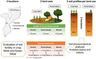 5. Organic Fertilizers