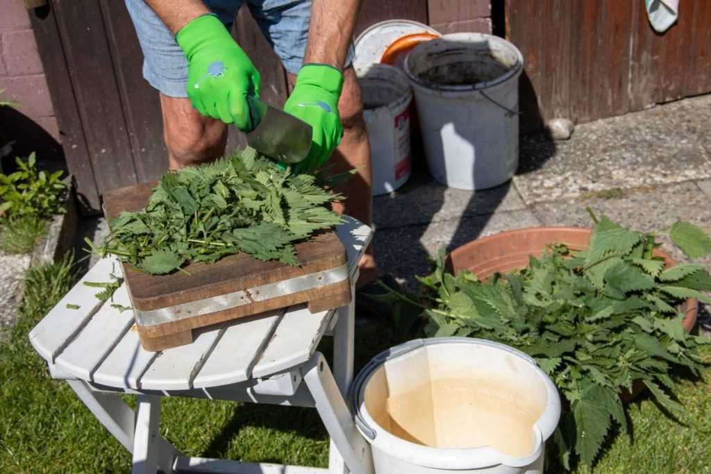 The Benefits of Nettle Fertiliser