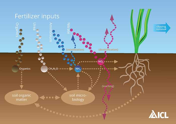 nitrogen fertilisers esiv1mer
