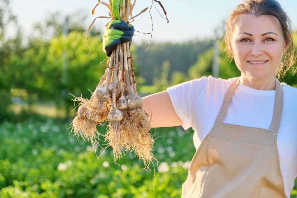 Harvesting