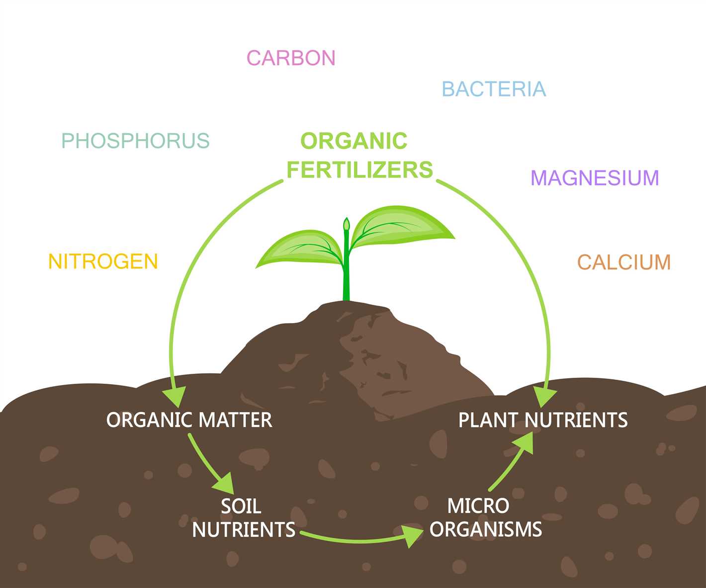 4. Long-term Nutrient Supply