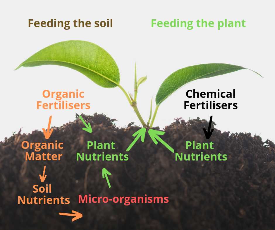 Environmental Sustainability