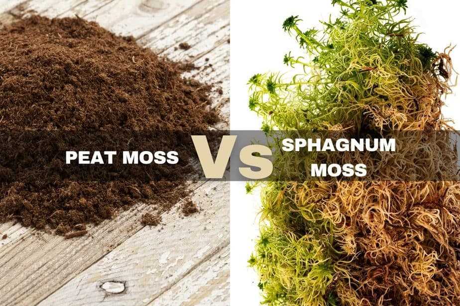 1. Soil Type