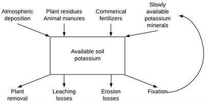 Environmental Concerns: Potassium Chloride Fertilizer