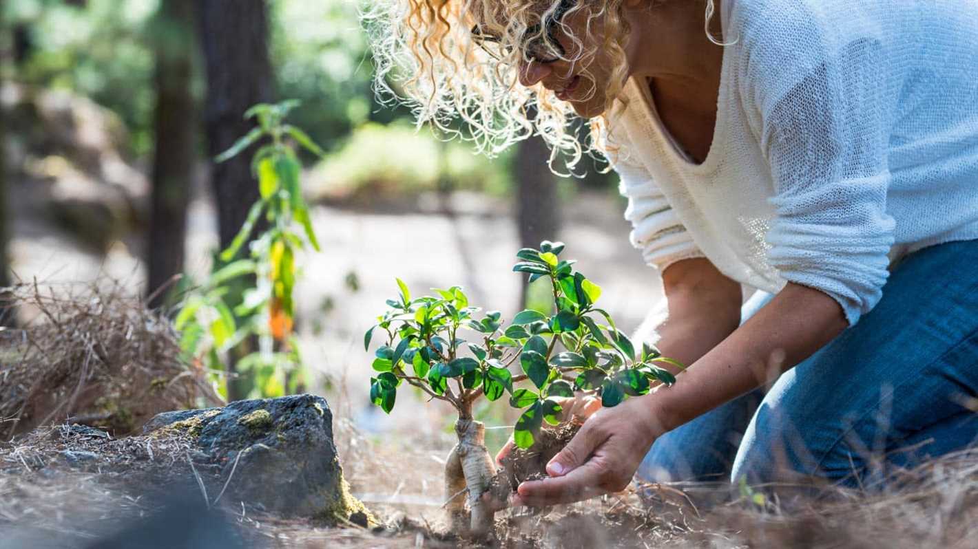 When and How to Water