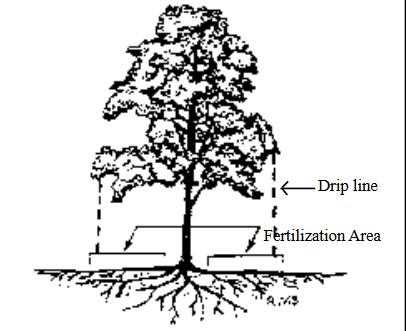 Assessing the Soil Quality