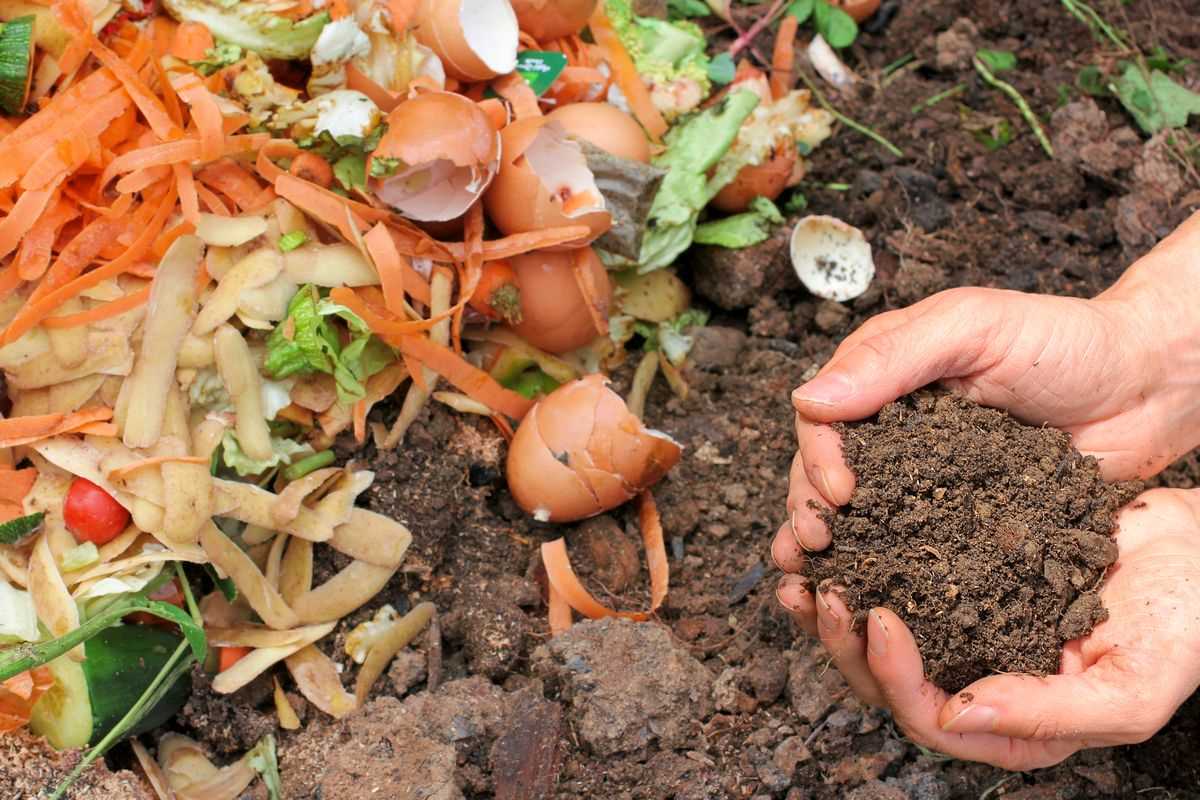 Choosing the right manure