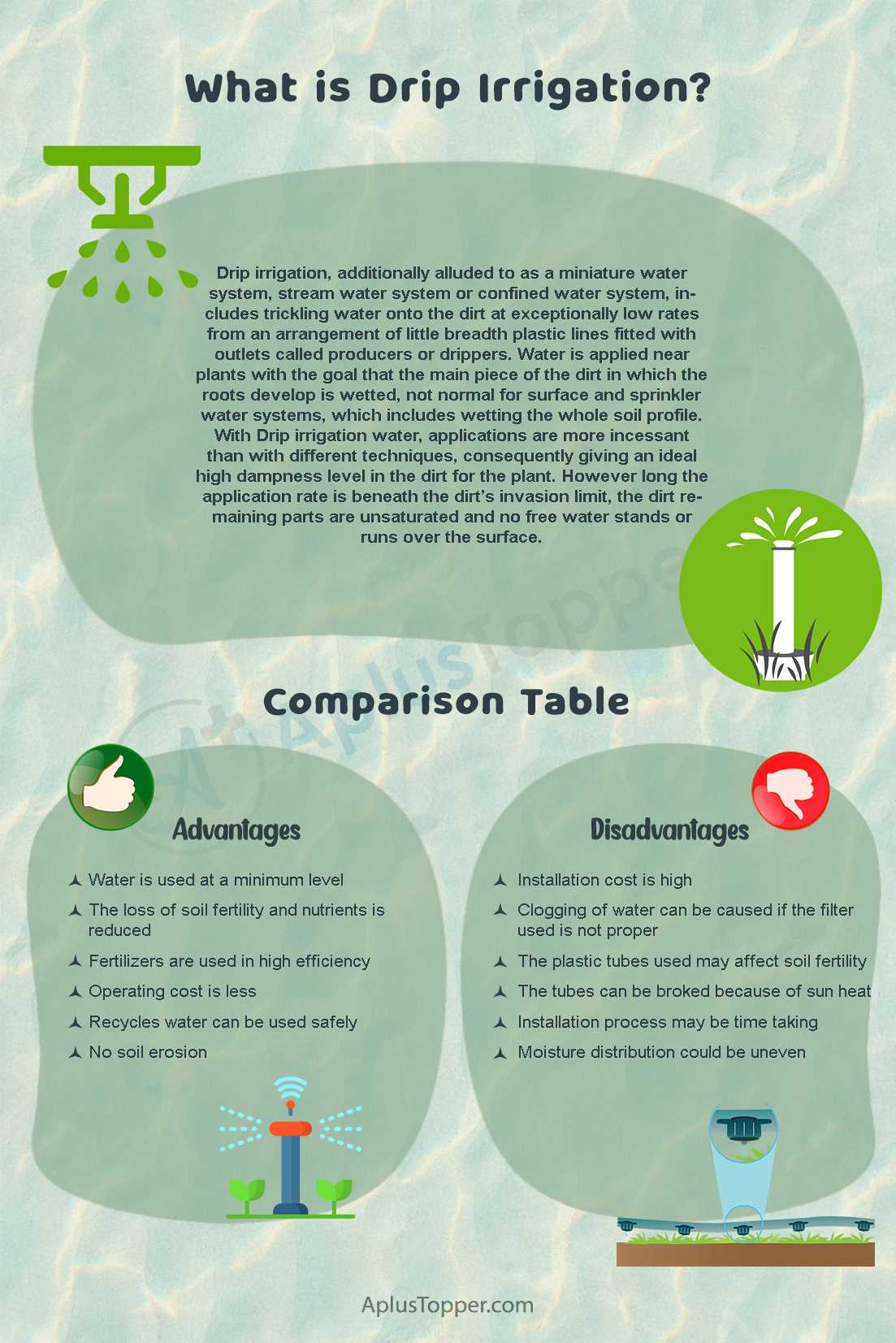 Risk of Overwatering