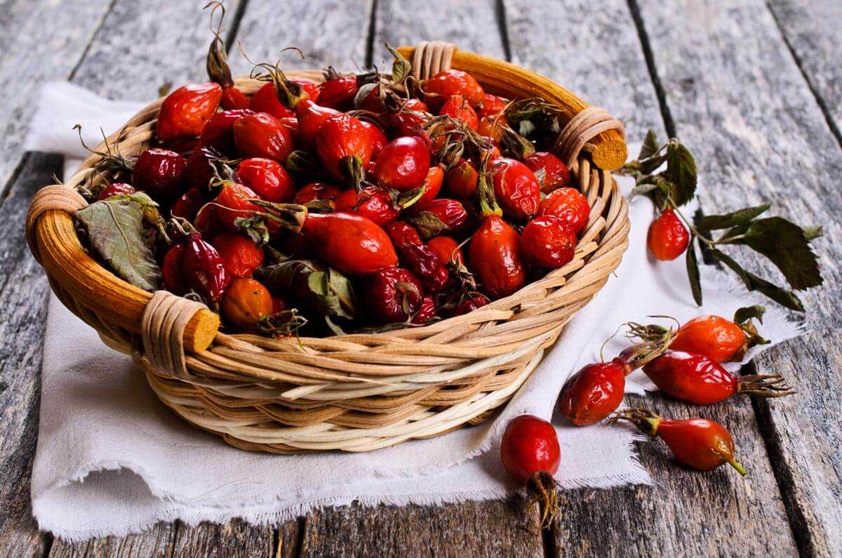3. Rosehip Syrup