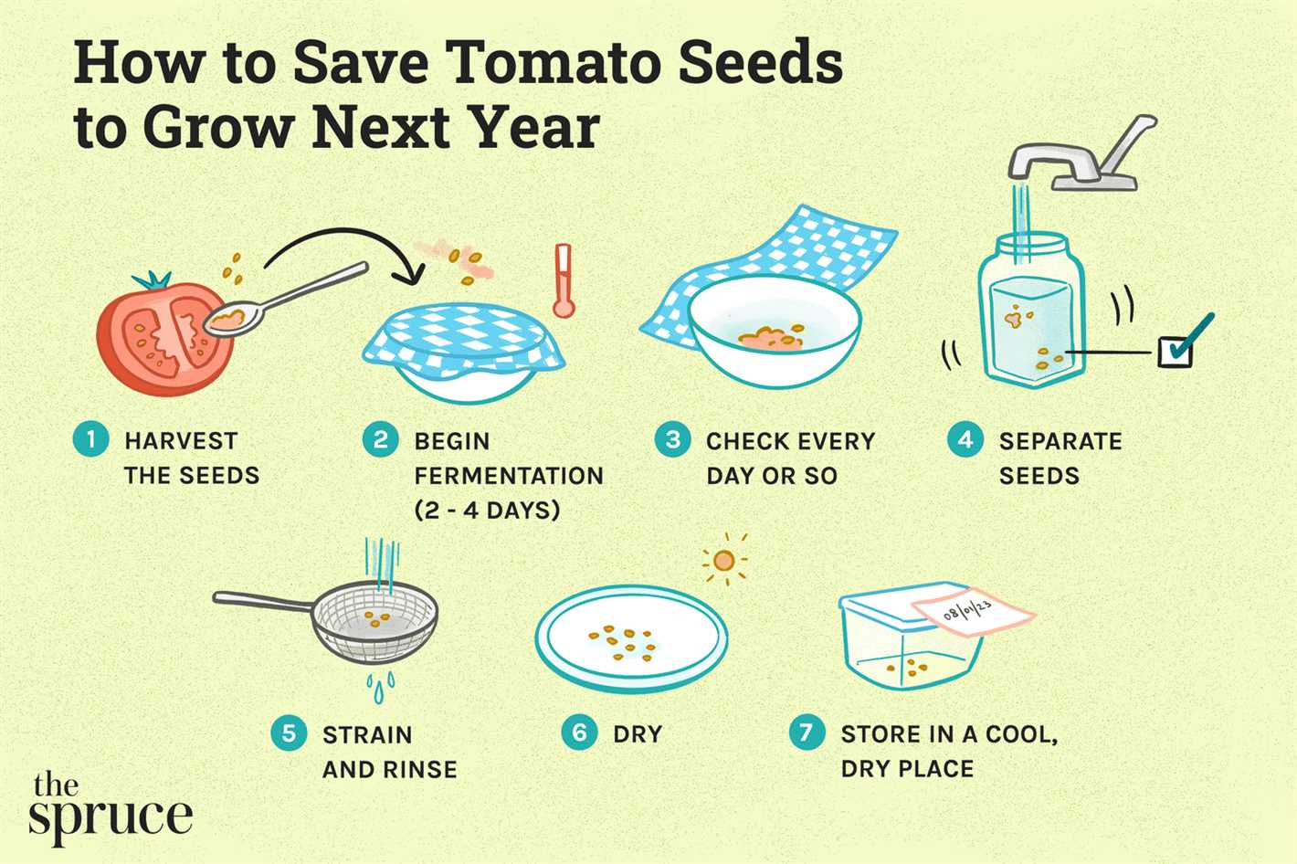 Why Save Seeds for Next Year