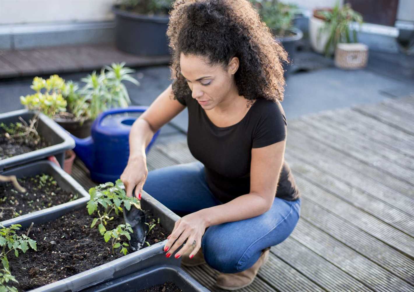 Best Recipes and Uses for Homegrown Cucumbers