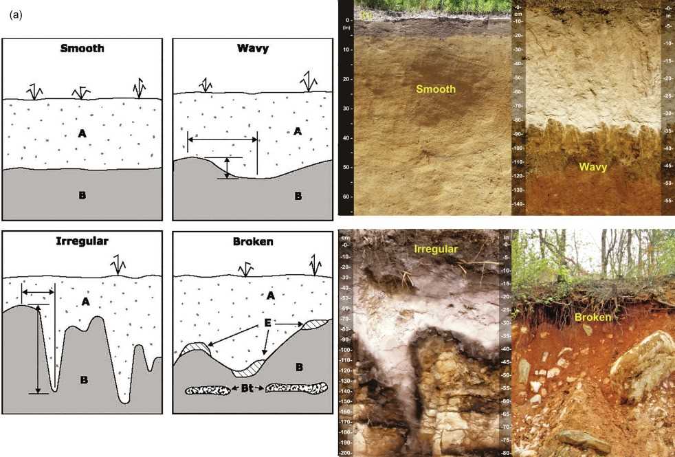 Understanding the Importance of Soil Deoxidation