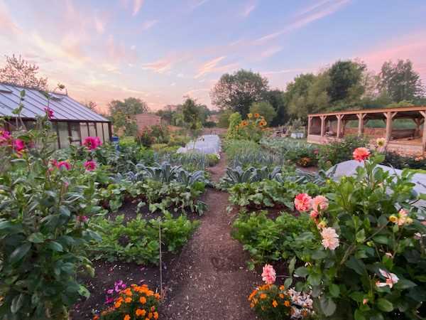 Planning and Designing Your Fall Garden