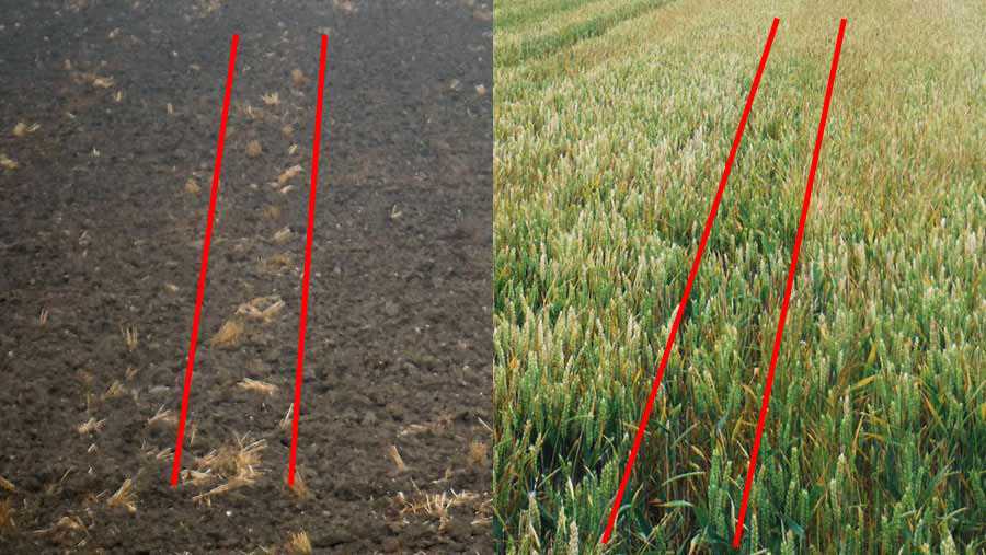 1. Soil Structure