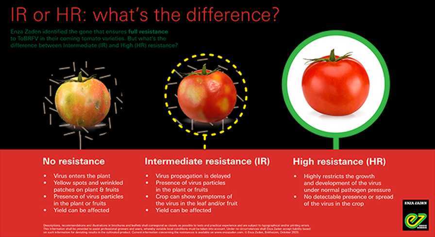 5. Disease Resistance