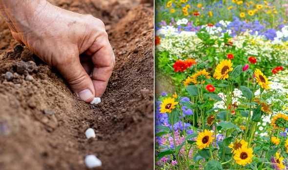 Choose the Right Containers