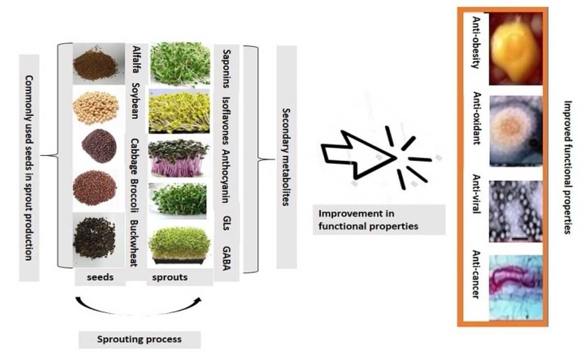 3. Adjust Temperatures for Different Stages