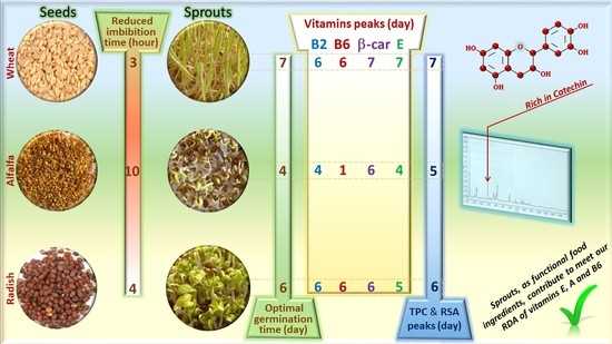 2. Monitor the soil moisture