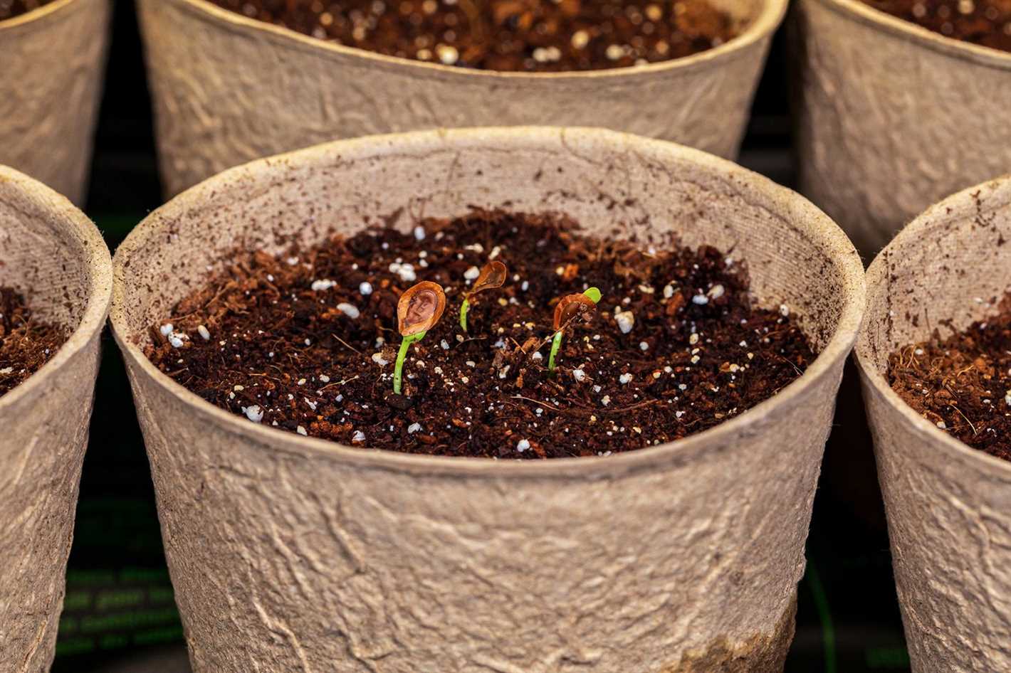 2. Enhancing germination success