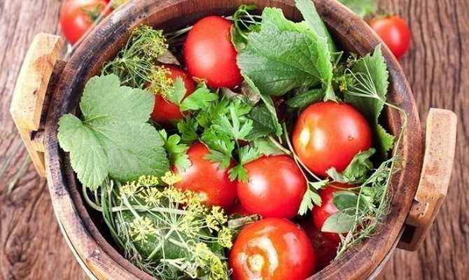 Green Zebra Tomato - Unique and Tangy Pickling Tomato