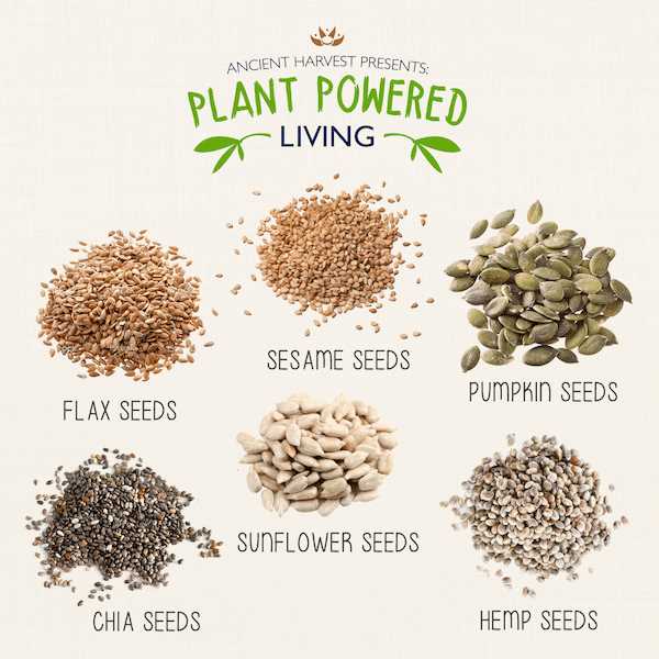 5. Seed Longevity