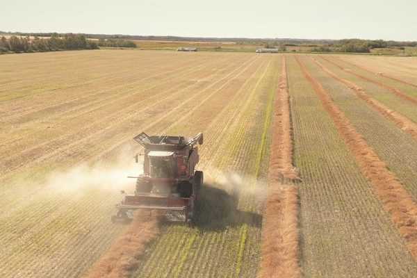 3. Seed Saving and Traditional Farming Practices