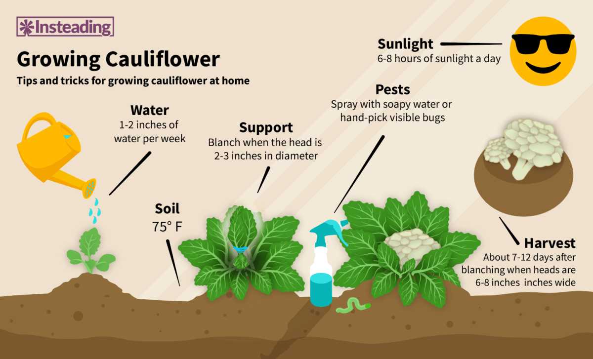 1. Soil Testing